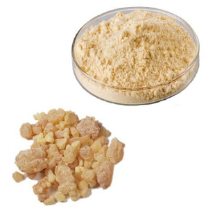 Boswellia
