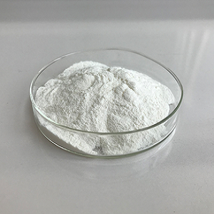 Chondroitin